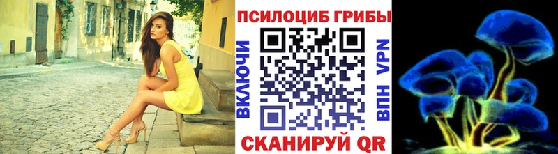 Галлюциногенные грибы Magic Shrooms  что такое   Черемхово 
